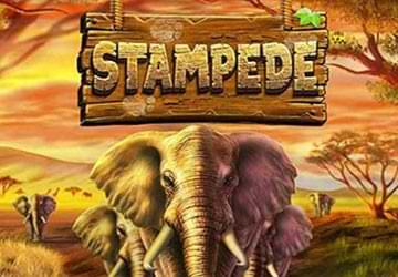 Stampede